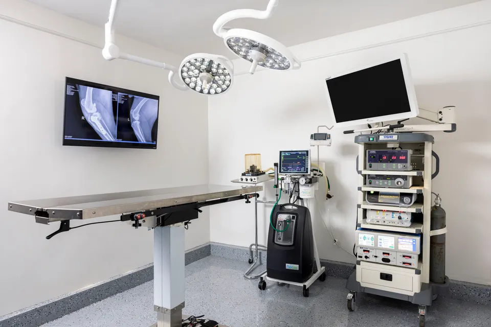 Surgical suite at Sevilla Veterinary Hospital with a knee radiograph on screen