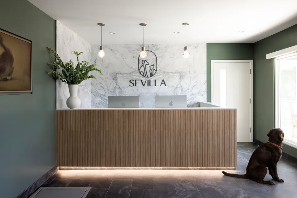 Reception at Sevilla Veterinary Hospital